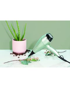 Secador de Pelo Remington 2300 W AC Botanicals AC5860
